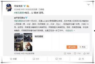 吃瓜系统娱乐圈后续,吃瓜系统后续揭秘